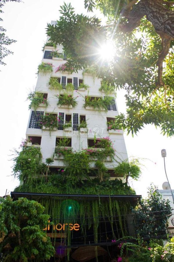 Seahorse Tropical Apartment Da Nang Bagian luar foto